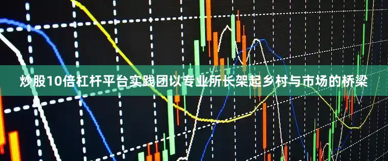 炒股10倍杠杆平台实践团以专业所长架起乡村与市场的桥梁